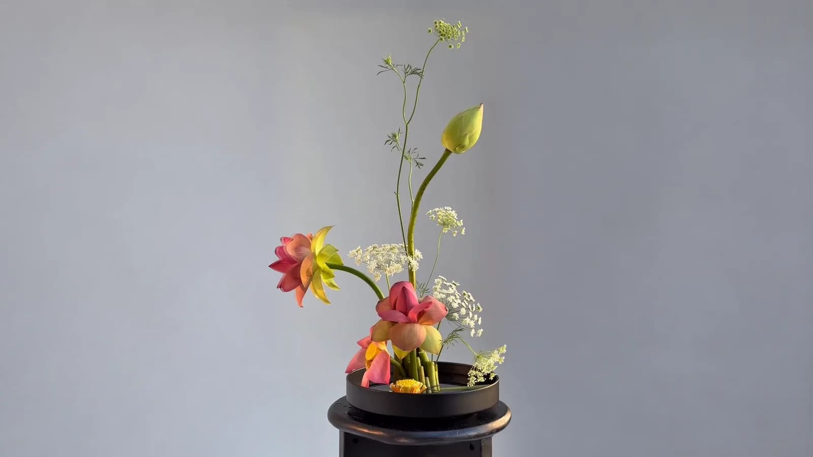 Ikebana com lótus do nosso estúdio: cada haste no seu próprio ângulo, presa por baixo em um suiban raso