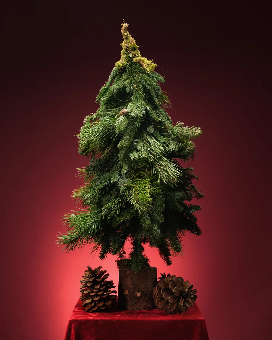 Eco Christmas tree on a metal base