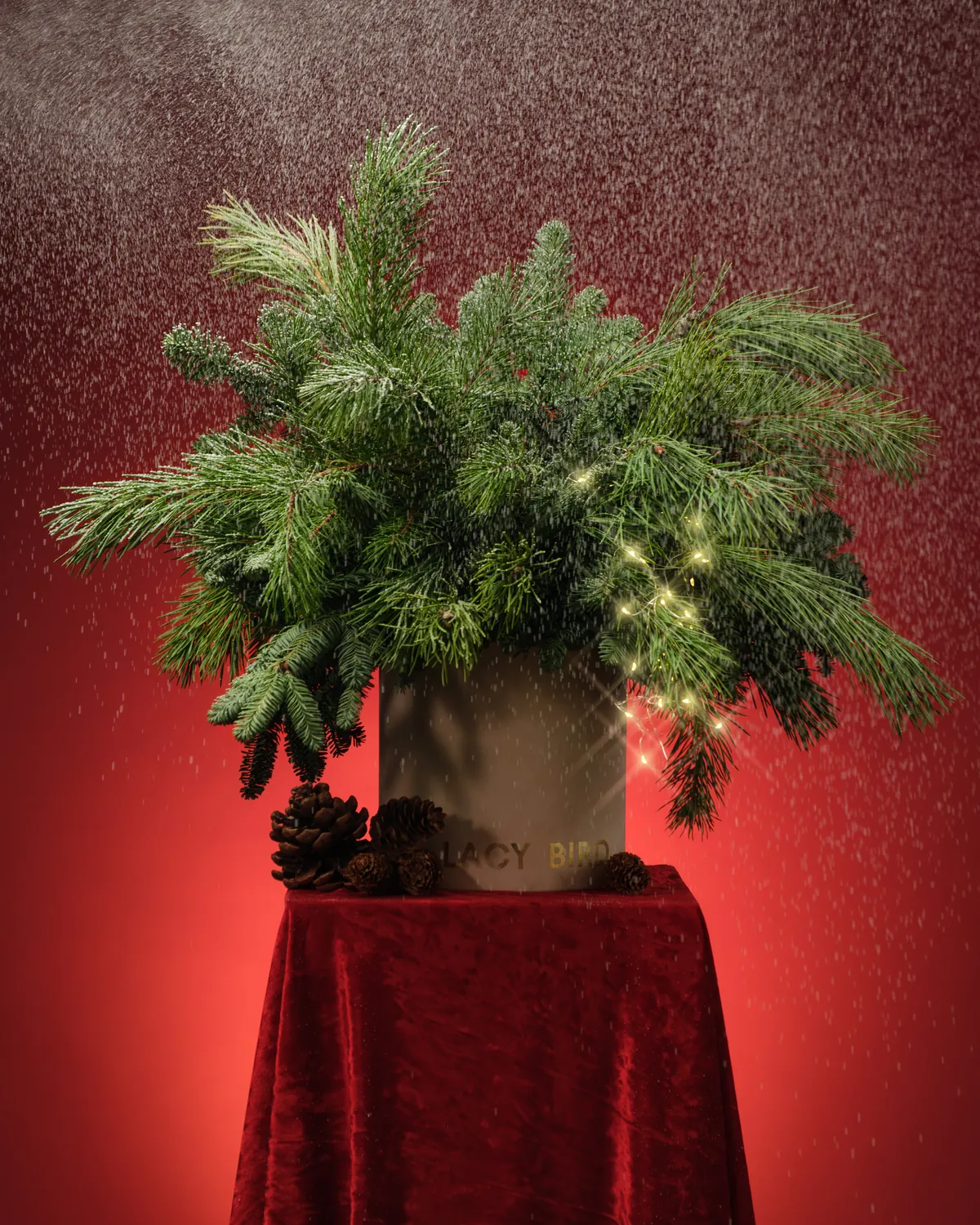 Modern Christmas Design — course trailer
