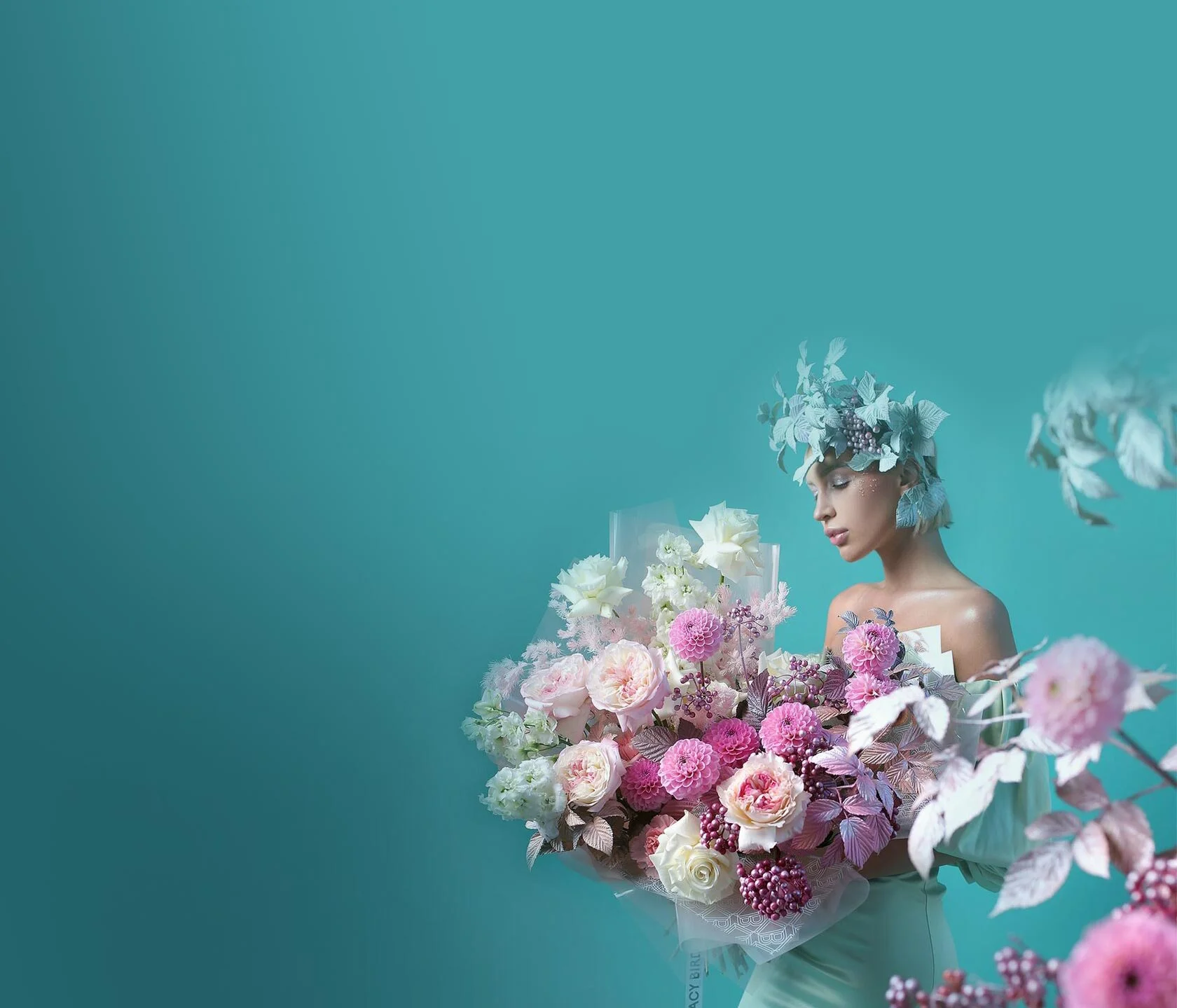 Cosmos pink — Cosmos | Lacy Bird